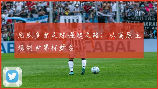 厄瓜多尔足球崛起之路:从高原主场到世界杯舞台